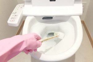 toilet-cleaning-manner-008-thumbnail-450